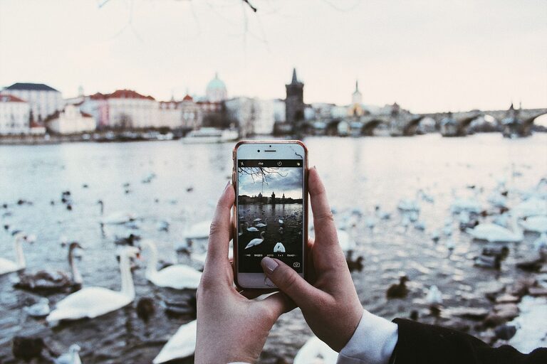 Beginner Tips for Taking Better Phone Photos Every Time